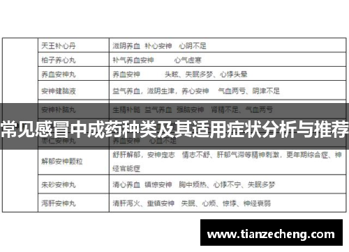 常见感冒中成药种类及其适用症状分析与推荐